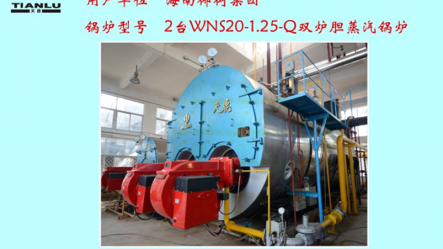 椰樹集團(tuán)2臺(tái)WNS20-1.25-Q雙爐膽蒸汽鍋爐